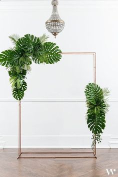 there are two plants in the frame on the floor and one is hanging from the ceiling