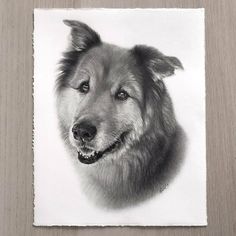 a black and white photo of a dog's face on a piece of paper