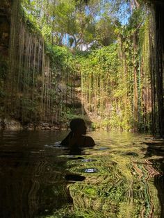 a person swimming in a body of water surrounded by trees and greenery on both sides