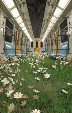 the interior of a subway train with flowers in the foreground and two trains on either side