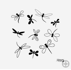 six black and white dragon silhouettes on a white background, each with different wings