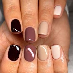 Nails design Fall Manicure Colors 2023, Trendy Nail Polish 2023, S S Nails, Gelmoment Fall Nails, Trendy Nail Polish Colors 2023, Trendy Nail Colors Fall 2022, Opi Krona-logical Order Dip, Trendy Manicure 2023, Fall Nail Colors Simple