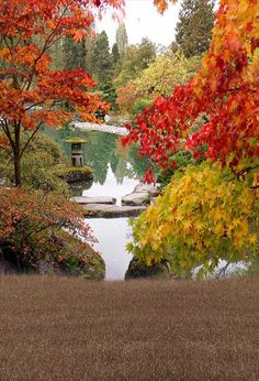 a pond surrounded by trees with red and yellow leaves