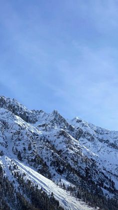 a person on skis is standing in front of some snowy mountains and pine trees