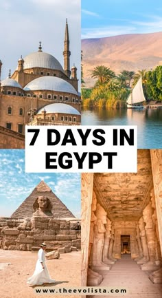 the seven days in egypt collage