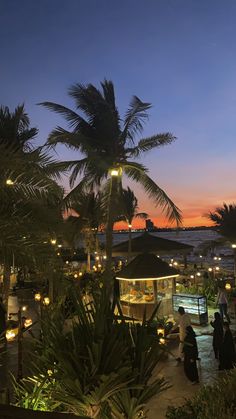 people are walking around in the evening near some palm trees