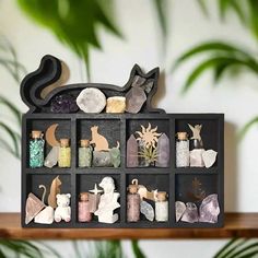 a shelf filled with lots of different types of items on top of a wooden table