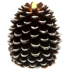 a pine cone with a lit candle in the center on a white background, close up