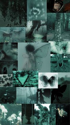 a collage of different images with trees and butterflies