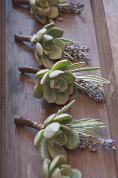 several succulents are lined up on a wooden table