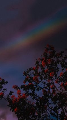 the rainbow is shining brightly in the sky above some trees and bushes with red flowers