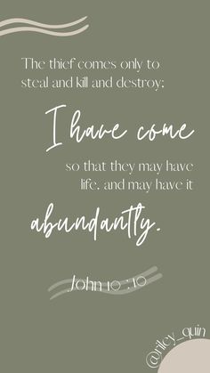 a quote from john 10 16 that reads, the thief comes only to steal and kill and destroy i have come so that they may have