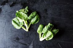 three green leafy vegetables on a black surface