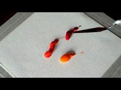 two orange fish are being cleaned on a white surface