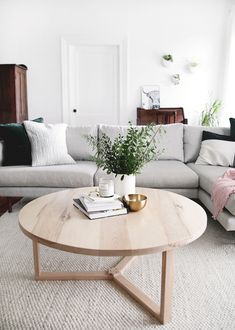 a living room with a couch, coffee table and potted plant