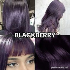 ☆ Hair Dye Ideas For Brunettes Underneath, Dyed Hair Solid Color, Purple Box Dye On Brown Hair, Light Purple And Dark Purple Hair, Amethyst Purple Hair, Blackberry Color Aesthetic, No Bleach Purple Hair, Purple Dye On Black Hair, Types Of Dyed Hair