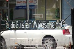 a white car parked in front of a building with a sign that says, a dog is an awesome dog