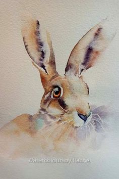 a watercolor painting of a rabbit's head with large ears and brown eyes