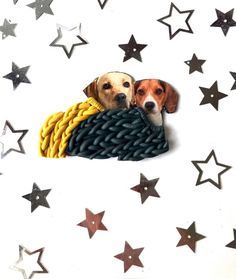 two dogs laying on top of a pile of stars