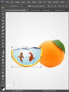 an orange with two fish in it and the image is cut into smaller pieces to look like they are floating on water