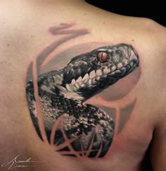 a tattoo on the back of a man's shoulder with a snake in it