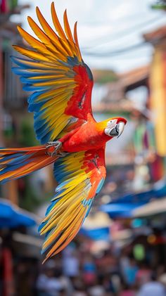 a colorful parrot flying through the air with its wings spread out and it's eyes open