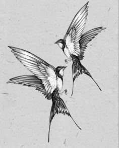 two birds flying next to each other on a gray background with black and white ink