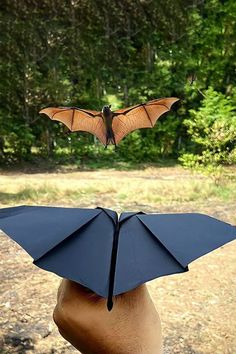 a hand holding an origami bat in front of a forest