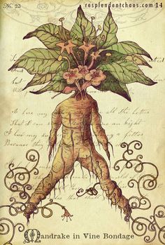 a drawing of a root with flowers on it's head and roots in the middle