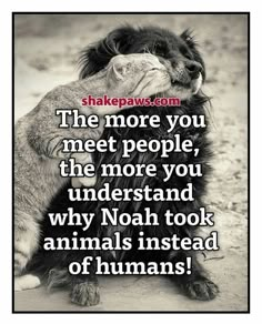 a black and white photo with a quote on it that reads, the more you meet people, the more you understand why noah took animals instead of humans