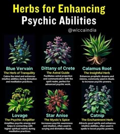 Wiccan Rede, Magickal Herbs, Witch Herbs, Medical Herbs, Magic Herbs, Spell Jar, Magical Herbs