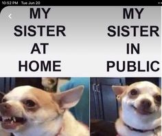 two pictures of a dog with their mouths open and the caption'my sister at home '