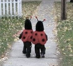 two children dressed in ladybug costumes walking down a sidewalk with their arms around each other