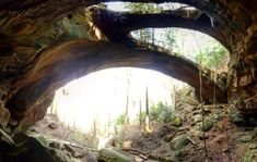 the light at the end of the tunnel shines brightly through the trees and rocks