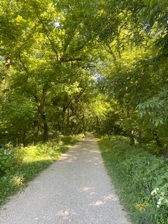 a dirt road surrounded by trees and grass