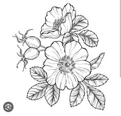 flowers and leaves are drawn in black ink on a white background