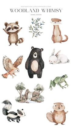 an illustrated book with animals and plants on it