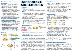 a page with some words and numbers on it