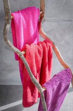 two towels hanging from a tree branch in front of a concrete wall