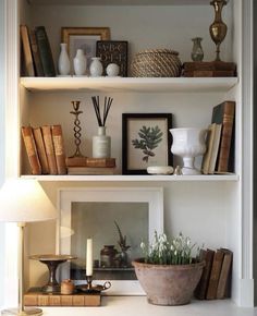 shelves with books, plants and pictures on them