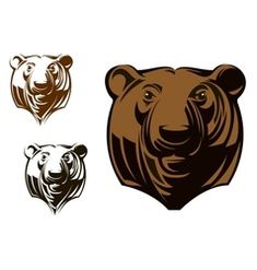 the head of a brown bear and two other bears on white background - animals characters