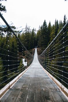 a long suspension bridge over a forest filled with trees