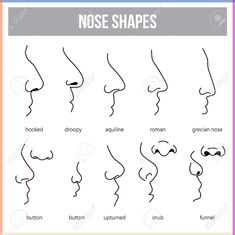 nose shapes for different types of noses stock photo, images and royalty photos nose shape chart