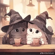 two cats dressed up as witches sitting at a table with coffee cups in front of them