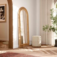 a large mirror sitting on top of a wooden floor next to a potted plant