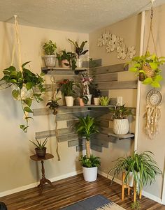 a room filled with lots of potted plants and hanging planters on the wall