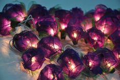 purple flowers are lit up with fairy lights