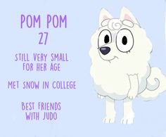 a white dog with big eyes standing next to a blue sign that says pom pom 27 still very small for her age met snow in college best friends with judo