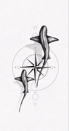 two fish are in the middle of a compass