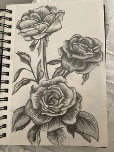 a drawing of three roses on a sheet of paper